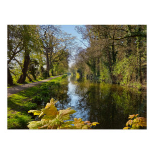 Póster Primavera