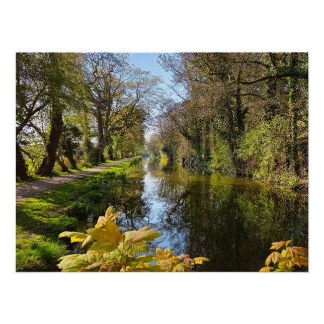 Póster Primavera (Anverso)