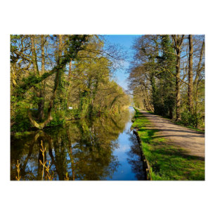 Póster Primavera