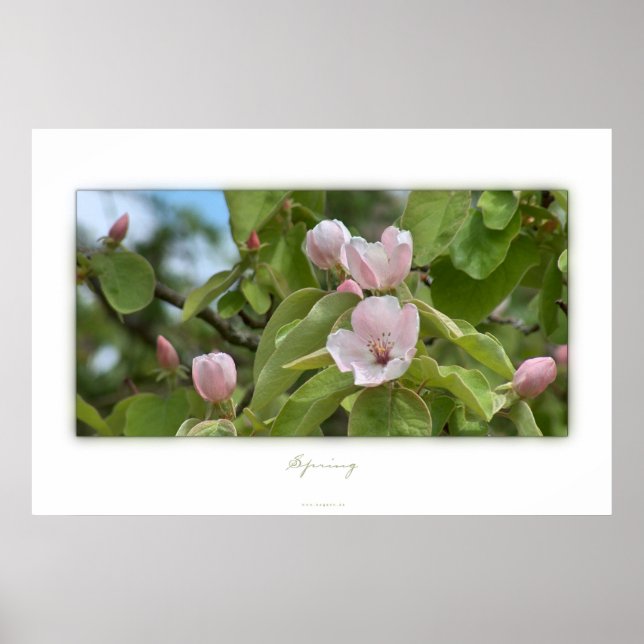 Póster Primavera (Frente)