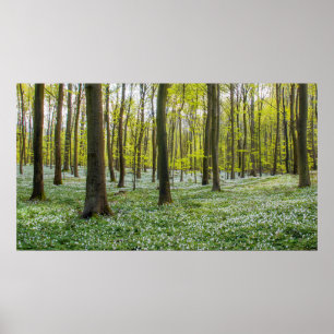 Póster Primavera a la vida