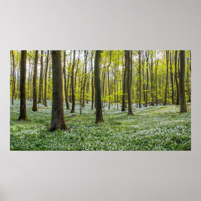 Póster Primavera a la vida (Frente)