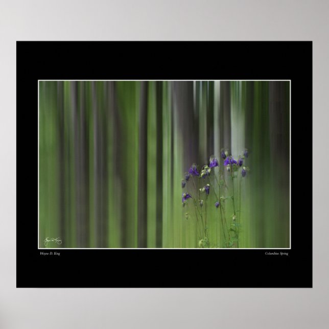 Póster Primavera de Columba (Frente)