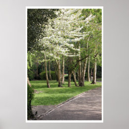 Póster Primavera de Irlanda