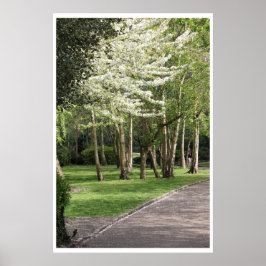 Póster Primavera de Irlanda