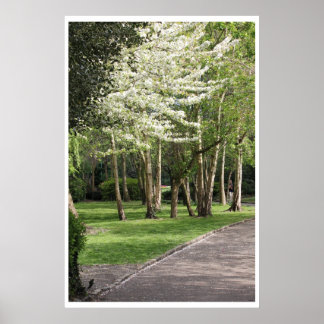 Póster Primavera de Irlanda