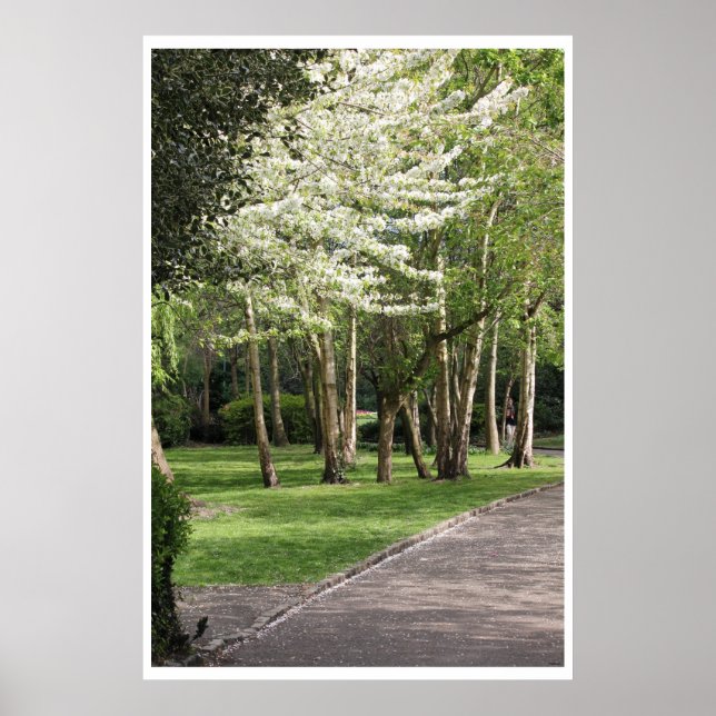 Póster Primavera de Irlanda (Frente)