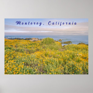 Póster Primavera de Monterey