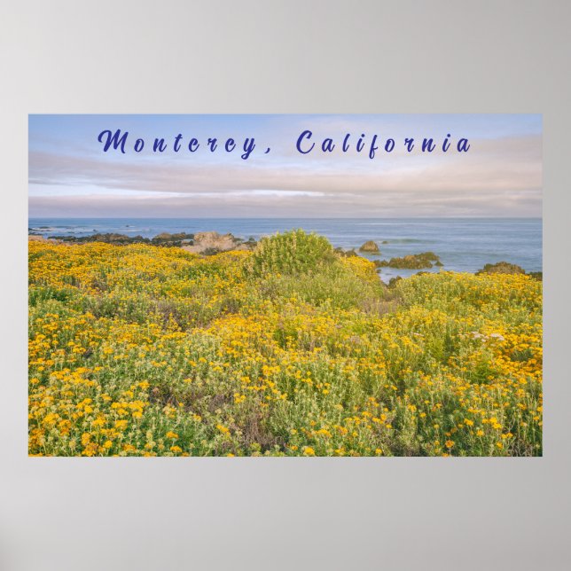 Póster Primavera de Monterey (Frente)