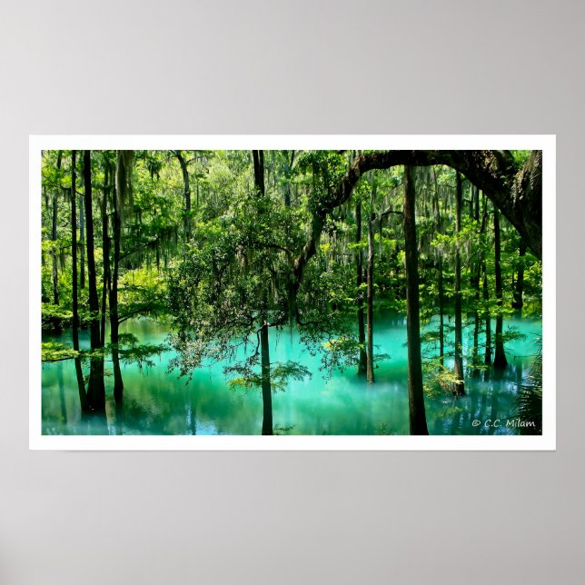 Póster Primavera de radio, Albany, Georgia (Frente)