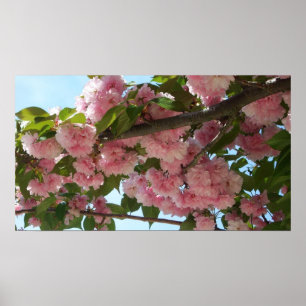 Póster Primavera del Árbol de cerezo IV con doble floreci
