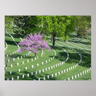 Póster Primavera del Cementerio Nacional de Arlington