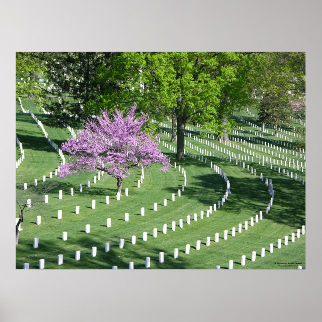 Póster Primavera del Cementerio Nacional de Arlington (Frente)