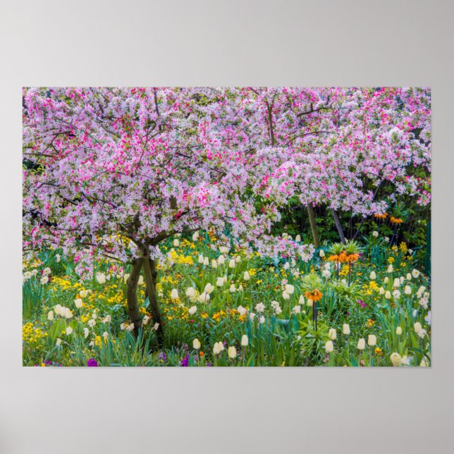 Póster Primavera en el jardín de Claude Monet (Frente)