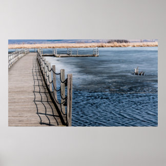 Póster Primavera en el Poster del pantano
