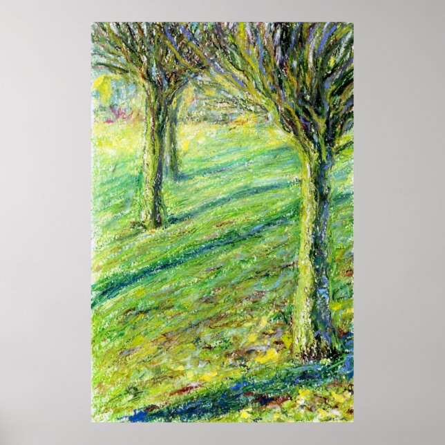 Póster Primavera en el West Park, Long Eaton (impresión) (Frente)