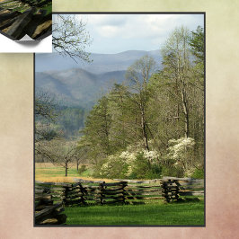 Póster Primavera en la cabina de John Oliver