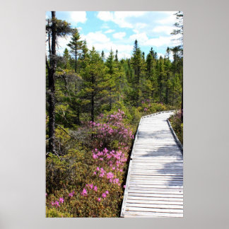 Póster Primavera en la marcha de blogs