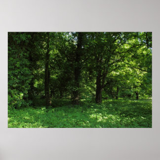 Póster Primavera en los bosques 02