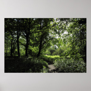 Póster Primavera en los bosques 03