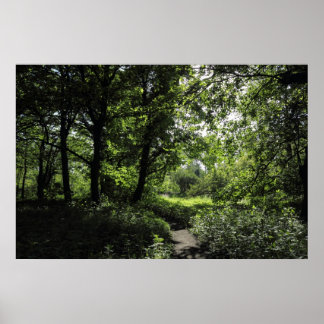 Póster Primavera en los bosques 03