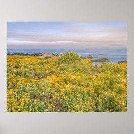 Póster Primavera en Monterey