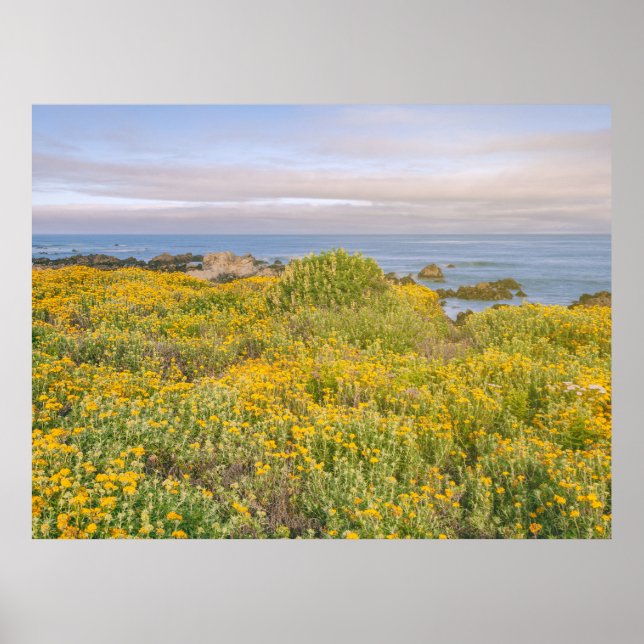 Póster Primavera en Monterey (Frente)