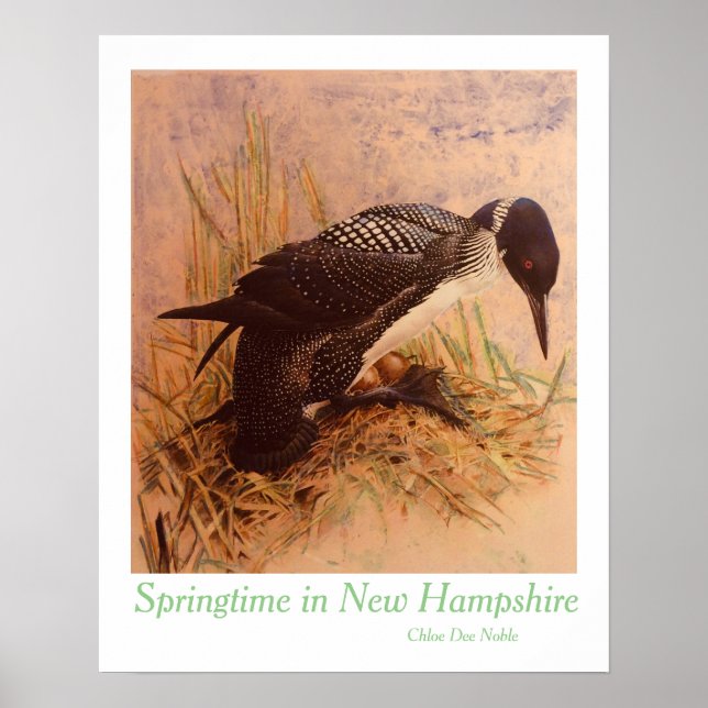 Póster Primavera en New Hampshire por Chloe Dee Noble (Frente)