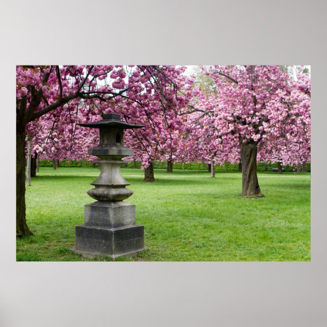 Póster Primavera en París en flor de cerezo (Frente)