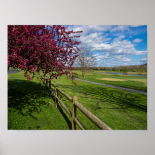 Póster Primavera En Rivercut