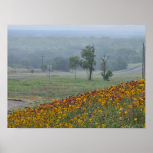 Póster Primavera en Texas
