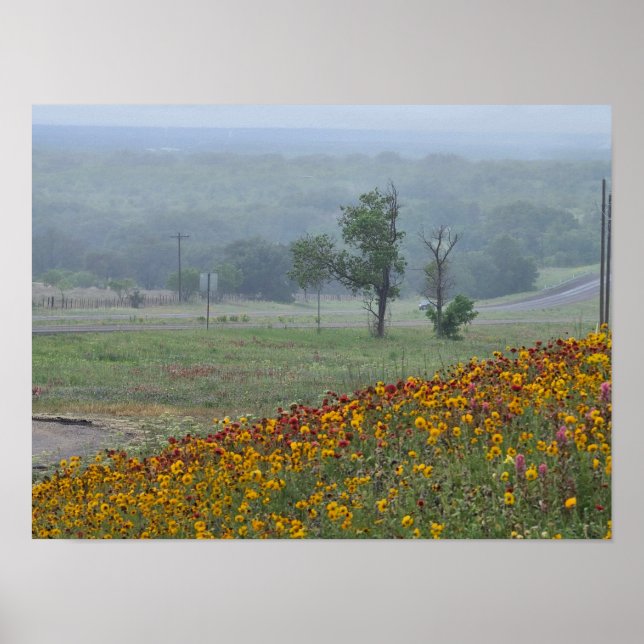 Póster Primavera en Texas (Frente)
