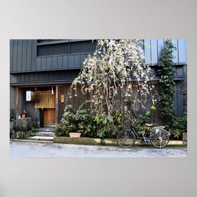 Póster Primavera en Tokio (Frente)