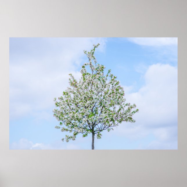 Póster Primavera - Feliz Pascua (Frente)