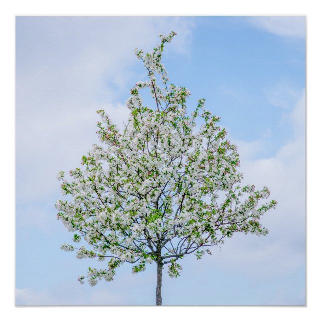 Póster Primavera - Feliz Pascua (Anverso)