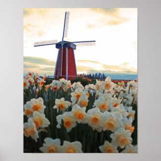 Póster Primavera holandesa