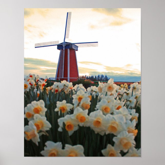 Póster Primavera holandesa (Frente)