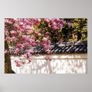 Póster Primavera -  Magnolia