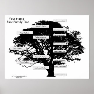 Póster Primer árbol familiar - sencillo para los grandes