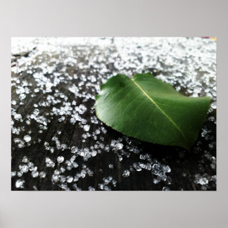 Póster Primer clima invernal