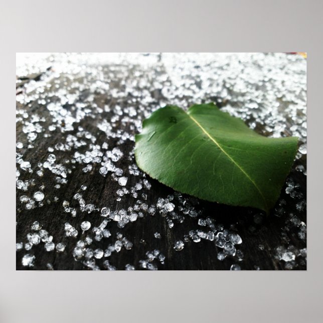 Póster Primer clima invernal (Frente)