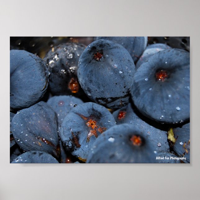 Póster Primer plano de fruta de higo (Frente)