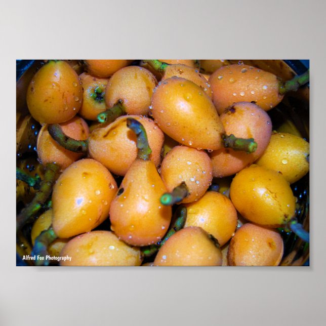 Póster Primer plano de la fruta de níspero (Frente)