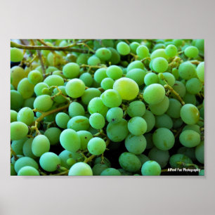 Póster Primer plano de uvas blancas