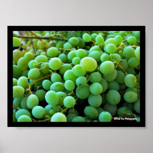 Póster Primer plano de uvas blancas