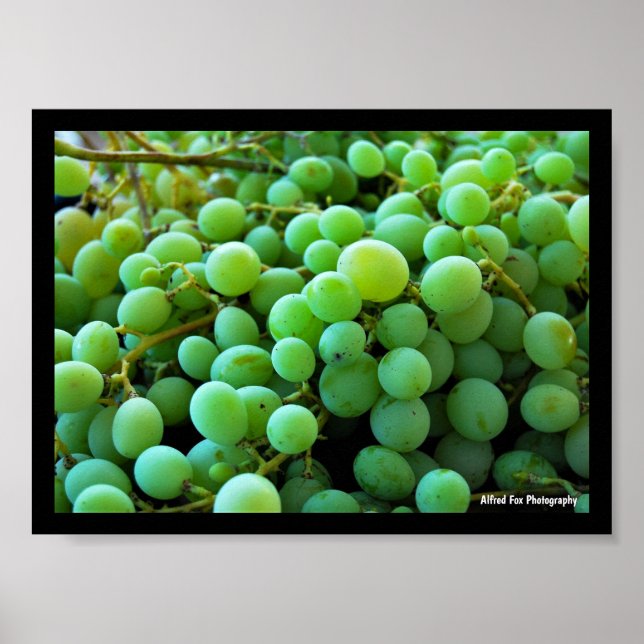 Póster Primer plano de uvas blancas (Frente)