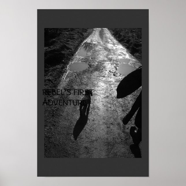 Póster Primera aventura de Rebel (Frente)