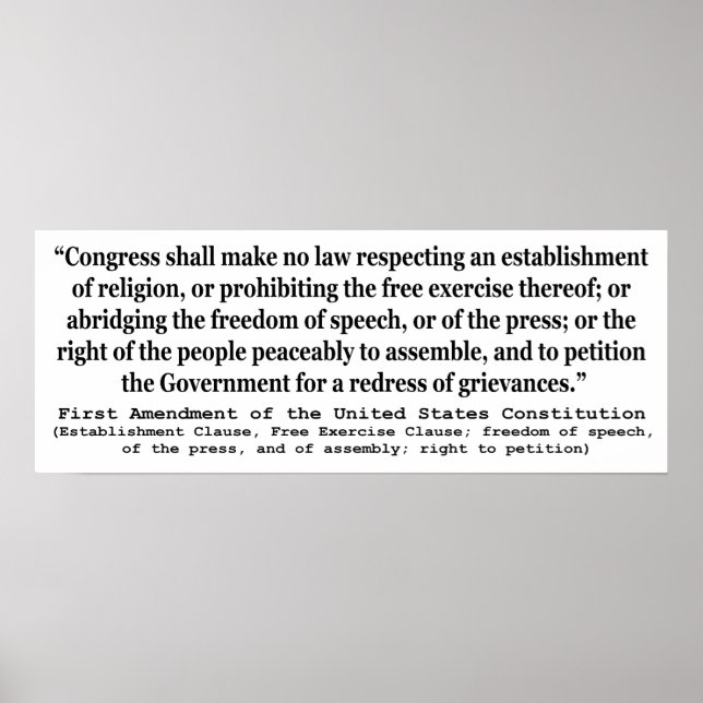 Póster Primera enmienda de la Constitución de los Estados (Frente)
