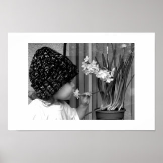 Póster Primera flor