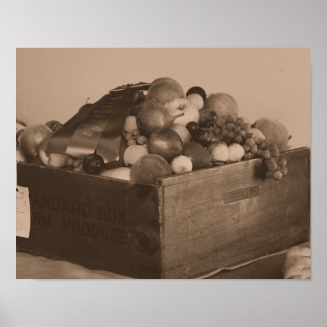 Póster Primera Fruta De La Cinta Azul Del Condado De Sepi (Frente)